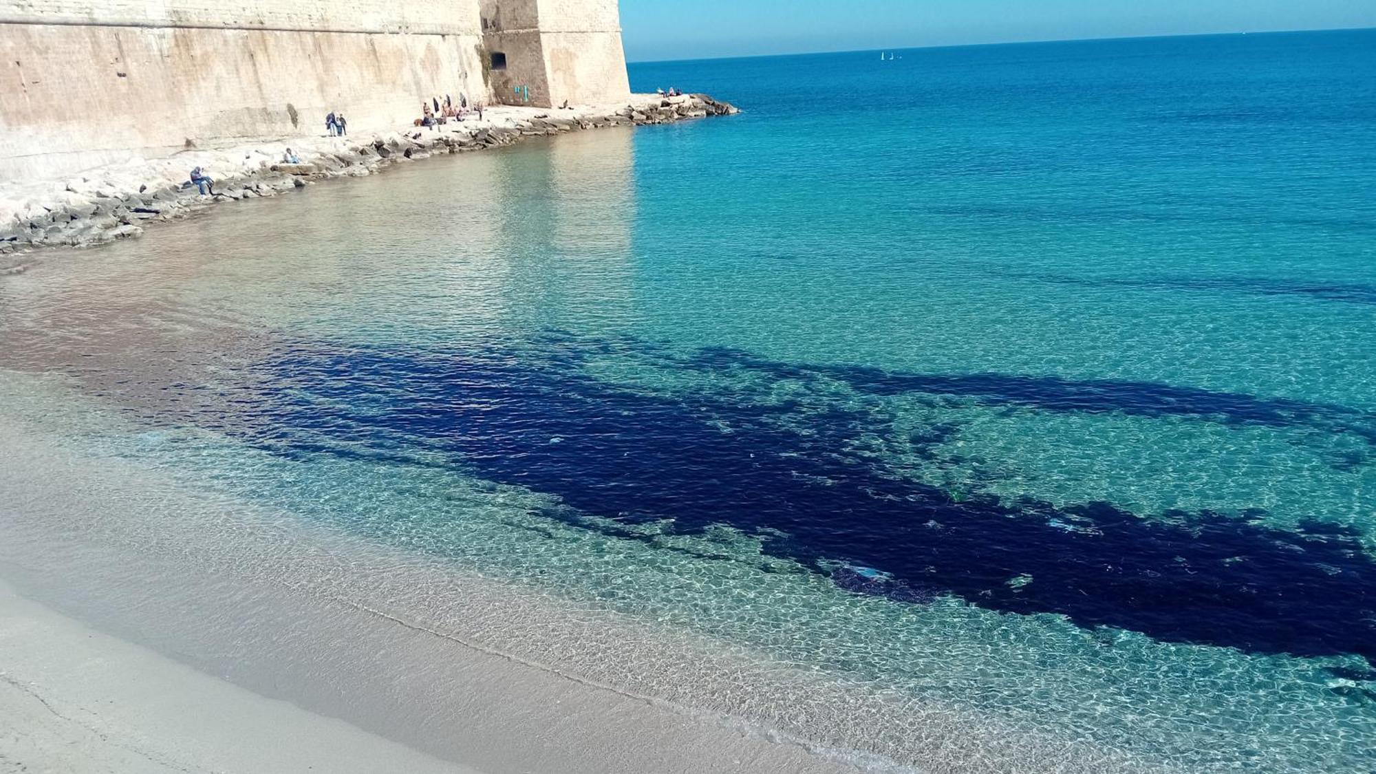 Che Bella Vita! โมโนโปลี ภายนอก รูปภาพ